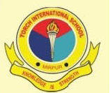 TORCH INTERNATIONAL SCHOOL logo
