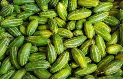 Pointed gourd nutritional value
