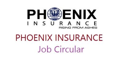 phoenix insurance