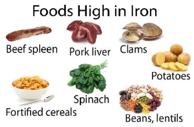 food high in iron