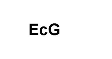 EcG কি?