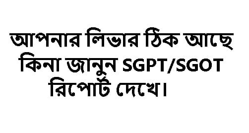 লিভারের স্বাস্থ্য রক্ষা করুন SGPT
