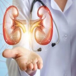 kidney doctor 