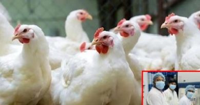 দেশে প্রথমবারের মতো শনাক্ত ‘Genotype IIIb’ ভাইরাস