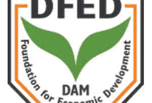 DAM Foundation Career