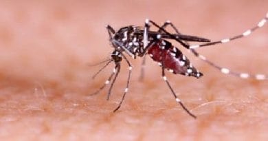 অনেকেই জানেনা ডেঙ্গু ভ্যাকসিন সম্পর্কে