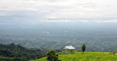 প্রকৃতির নৈসর্গিক সৌন্দর্য তাজিং ডং