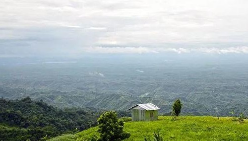 প্রকৃতির নৈসর্গিক সৌন্দর্য তাজিং ডং