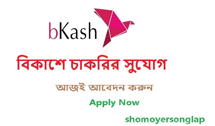 Career opportunity বিকাশ লি: