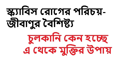 Scabies Alert লক্ষণগুলো দেখলেই সতর্ক হন