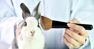 প্রাণী পরীক্ষা ছাড়াই নিরাপদ কসমেটিক