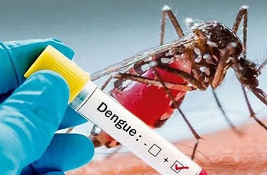৪ ডিসেম্বরে কতজন ডেঙ্গু আক্রান্ত